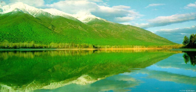 test4